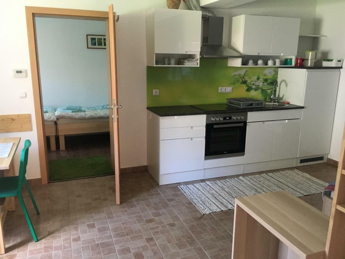 Apartma Tajc ボーヒニ エクステリア 写真